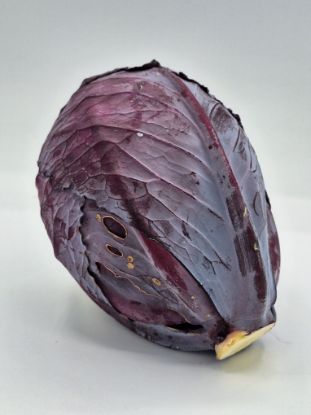 Bild von BIO -  Rotkraut per kg 