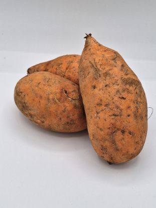 Bild von BIO -  Süßkartoffeln per kg 