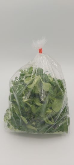 Bild von BIO -  Vogerlsalat 125g ATR 
