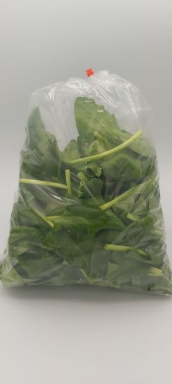 Bild von BIO -  Spinat 250g ATR 