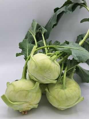 Bild von  Kohlrabi  per Stk.