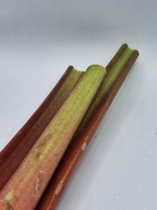 Bild von BIO - Rhabarber per kg