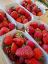 Picture of BIO - Erdbeeren 500g Tasse