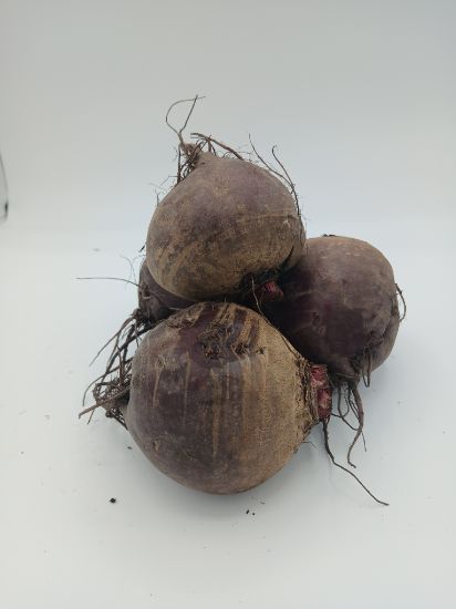 Picture of BIO -  Rote Rüben per kg 