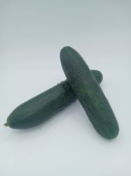 Bild von BIO - Gurken gemischt / kg