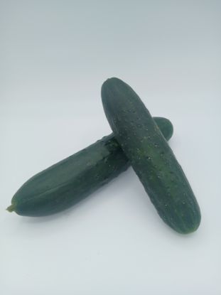 Bild von BIO -  Gurken per kg
