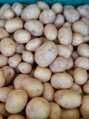 Picture of  Frühkartoffel 1kg  