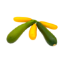 Bild von BIO - Zucchini per kg