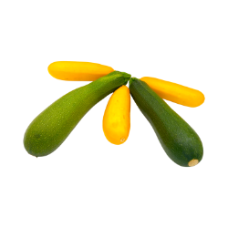 Bild von  Zucchini per kg 