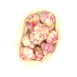 Bild von BIO - Knoblauch AGRO /kg