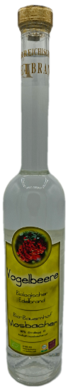 Bild von BIO - Brisky