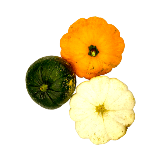 Bild von BIO - Kürbis gemischt per kg