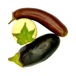 Bild von BIO - Melanzani / kg