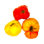 Bild von BIO - Paradeiser fleischig / kg
