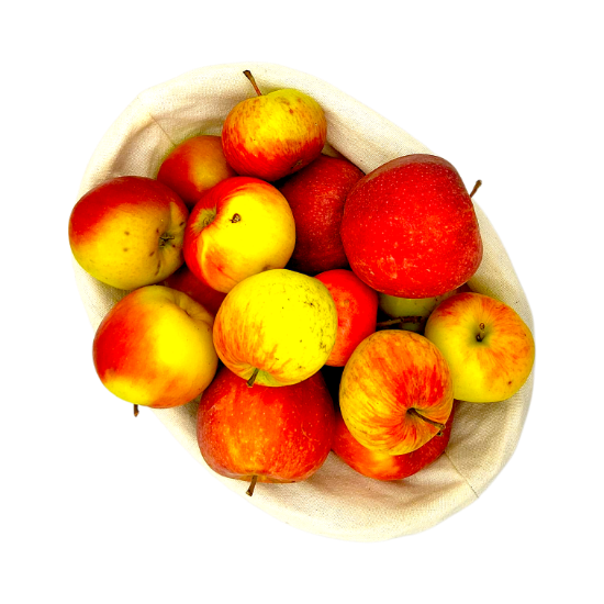 Picture of BIO -  Apfel div. Sorten