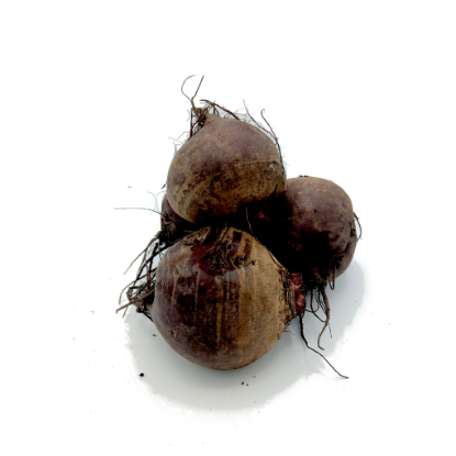 Bild von BIO -  Rote Rüben per kg 
