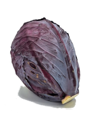 Bild von BIO -  Rotkraut per kg 