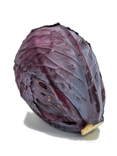 Picture of BIO -  Rotkraut per kg 