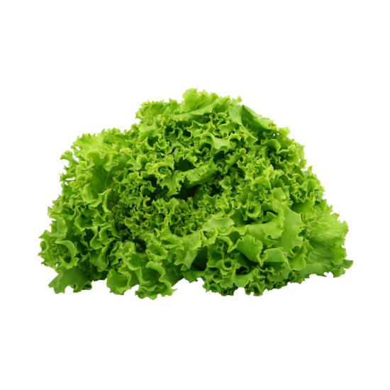 Picture of BIO - Kopfsalat per Stk. 