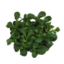 Picture of BIO - Vogerlsalat 150g