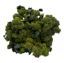 Bild von BIO - Brokkoli per kg
