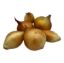Picture of BIO - Zwiebel per kg