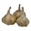 Picture of BIO - Knoblauch per kg  