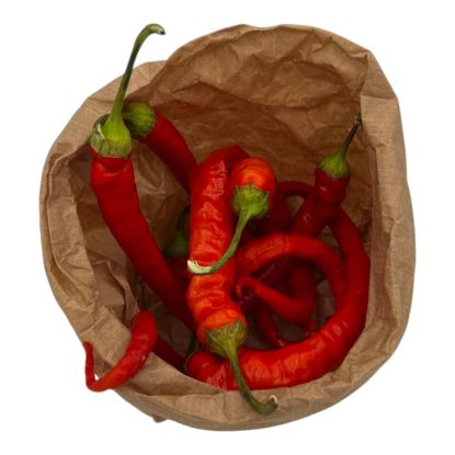 Bild von BIO - Pfefferoni per Stk