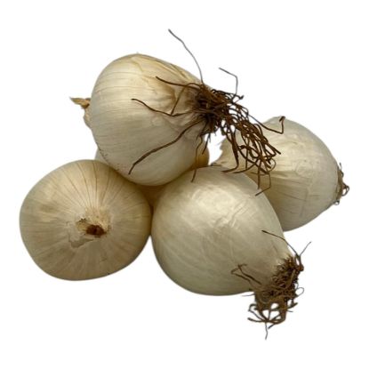 Picture of BIO - Zwiebel weiß per Tasse ca. 350g