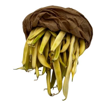 Bild von BIO - Buschbohnen per kg