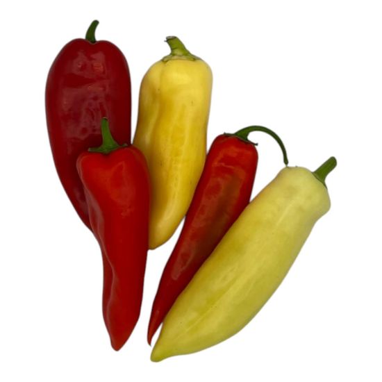 Bild von BIO - Paprika bunt per Stk  