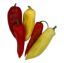 Bild von BIO - Paprika bunt per Stk  