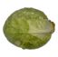 Picture of BIO - Weißkraut per kg 
